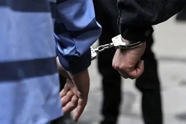 عکس/ "پاپلی‌های مازنی"