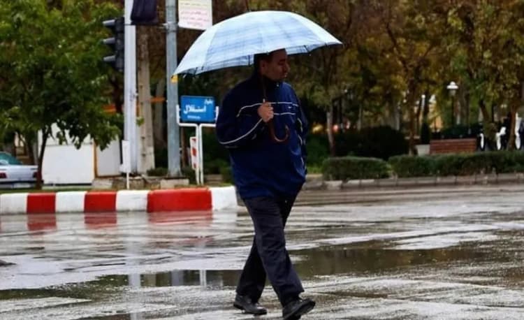 ترند