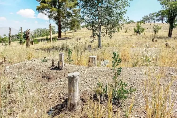 قالیباف: بریکس بزرگترین فرصت اقتصادی و سیاسی است