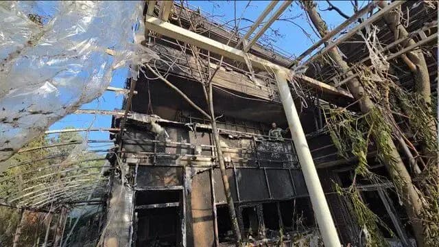 اعتراف پسری که دوستش را در رقابت عشقی به قتل رساند
