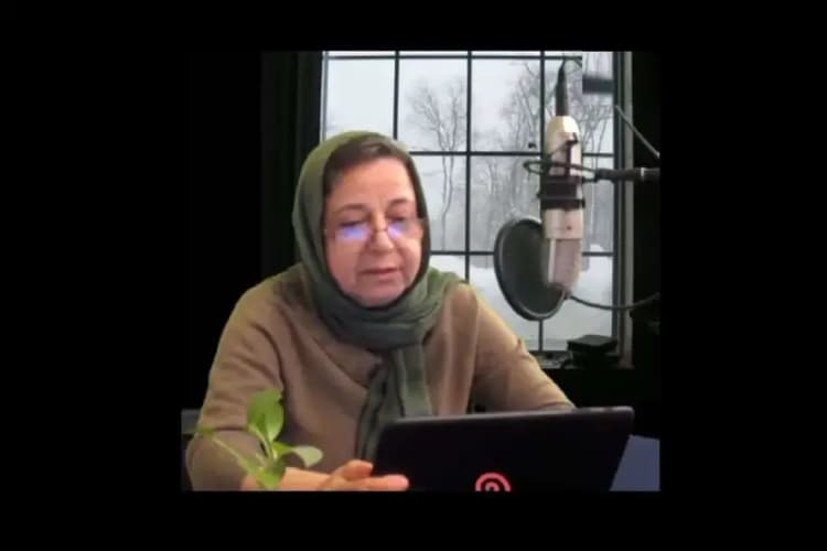 «میرزا مخنث» و بازخوانی خشونت تاریخی آقامحمدخان در کرمان