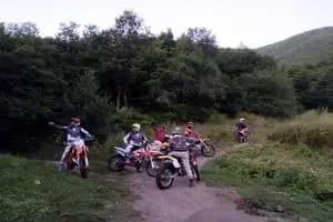 ترند