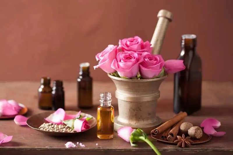 تاثیر محافظتی دارچین و گل محمدی در برابر گاز اُزن