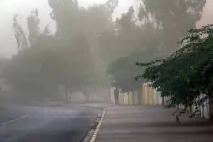 ترند