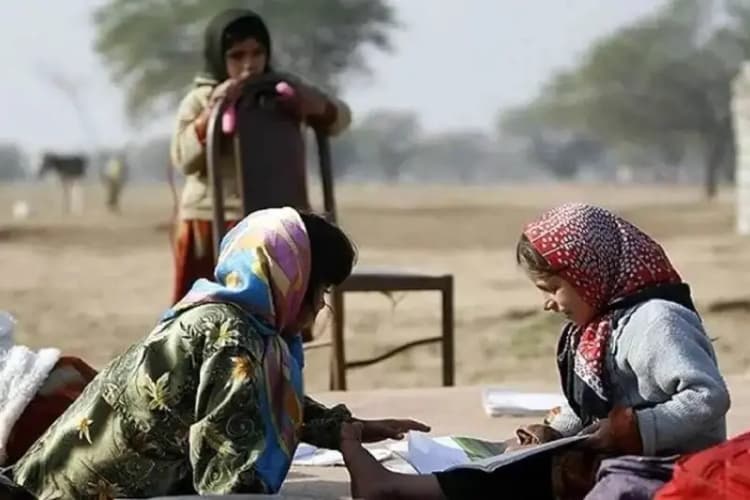 ترند