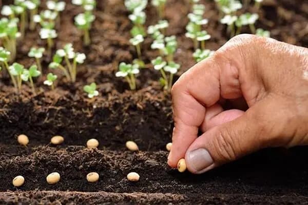 آخرین تغییرات قیمت در بازار طلا و ارز