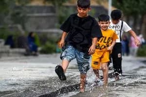 آیا «مِلون» تراریخته و مضر برای سلامتی است؟