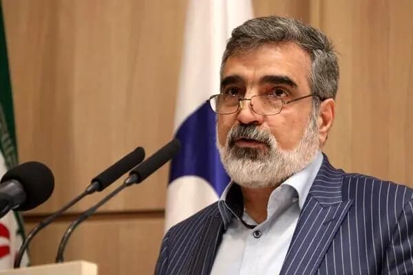 کمالوندی: آژانس و غرب به هشدارهای ایران توجه نکردند