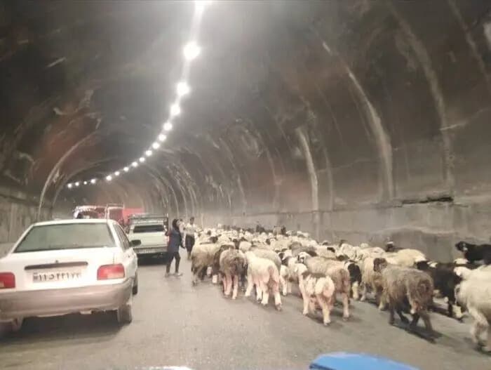 برخورد مرگبار وانت نیسان با موتورسیکلت در خیابان آرش مهر تهران