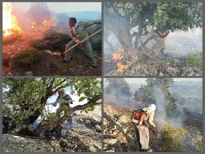 مهار آتش‌سوزی در دامنه کوه «شلم» ایلام