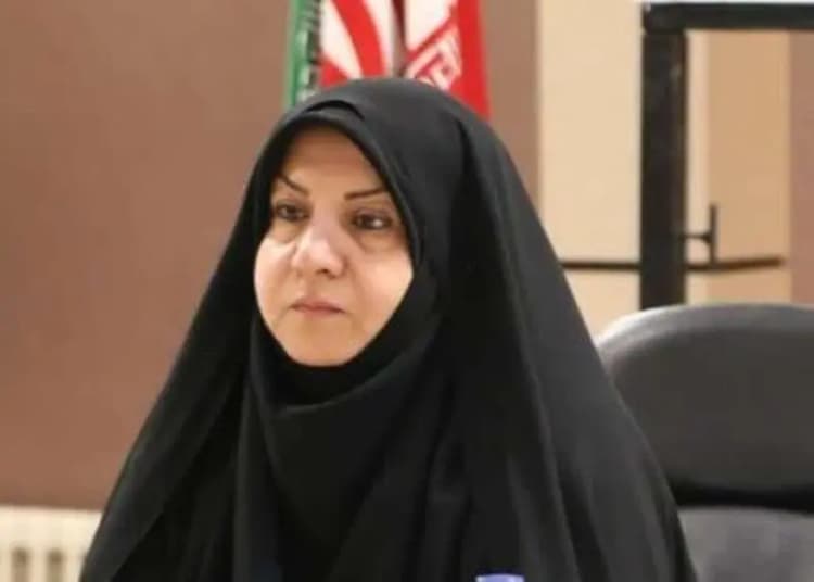 تکذیب خرید زمین توسط گردشگران خارجی در گیلان توسط استاندار
