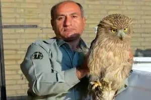 ایران از ان پی تی خارج می‌شود؟ 