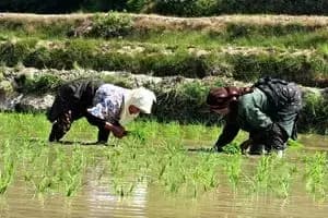 بانوان مازندران پارسال ۱۰۰ مدال ورزشی کسب کردند