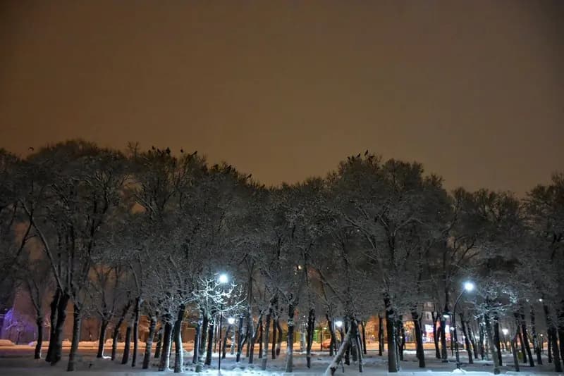 در این گرمای هوا در همدان برف بارید!