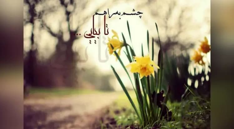 فیلم آواز باشکوه  علی یاسینی با همراهی دختر مورد علاقه اش ! / تو چمدونت یک نامه گذاشتم !  + موزیک ویدیوی آهنگ کنارتم