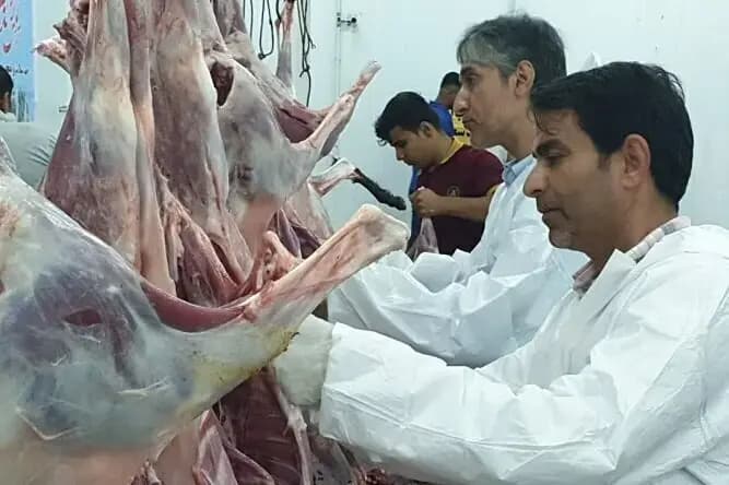 برنامه پیشگیری از تنبلی چشم کودکان در سنندج آغاز شد