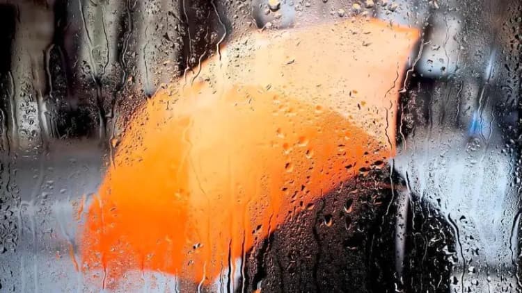 بلندترین آسمان‌خراش چوبی دنیا