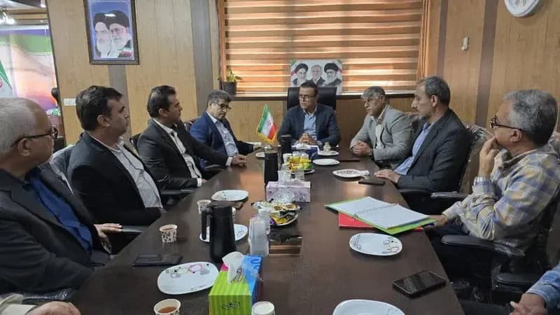 موانع تولید مرغ مادر در  گناوه برداشته شد