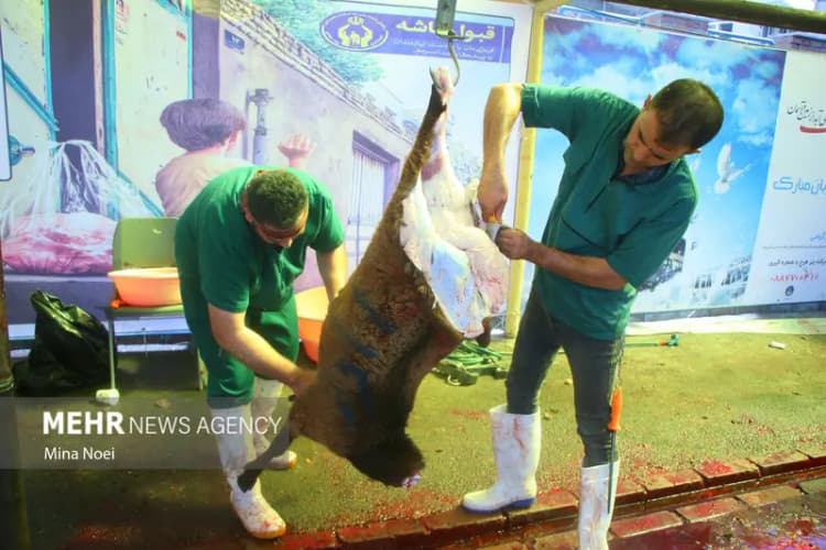 عرفه؛ آغوش باز خداوند برای توبه‌کنندگان و نیایش‌گران