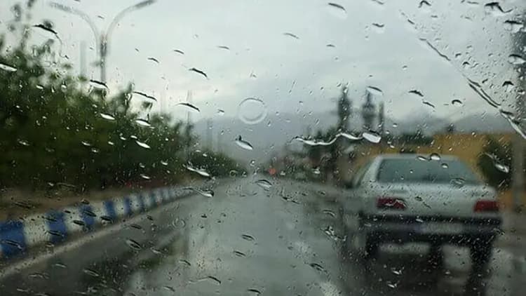 با بادمجان این ساندویچ خوشمزه را درست کنید!