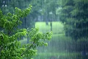 پیش‌بینی رگبار و رعد و برق برای برخی نقاط کشور

