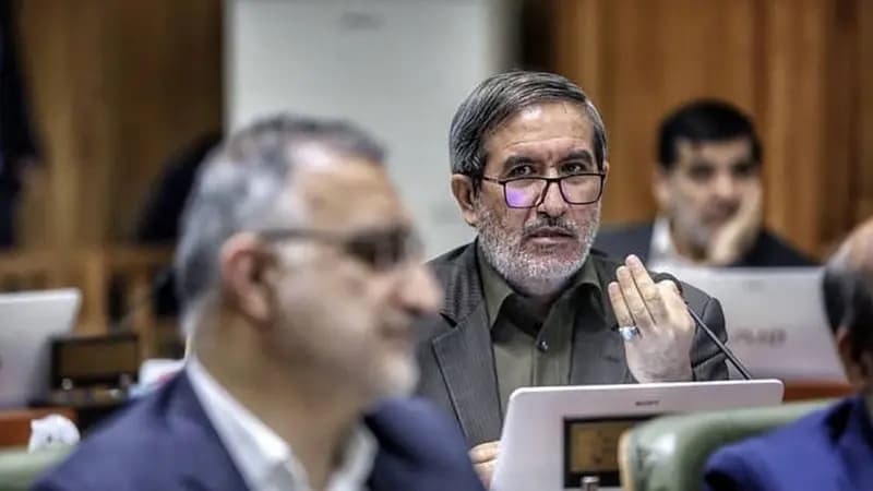 عضو شورای شهر تهران: موش ها در تهران گربه شده اند! + فیلم