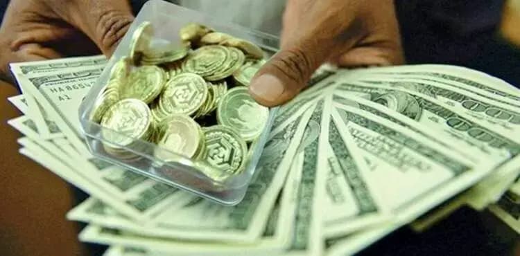 سقف مجاز نگهداری ارز توسط اشخاص ۱۰ هزار یورو تعیین شد
