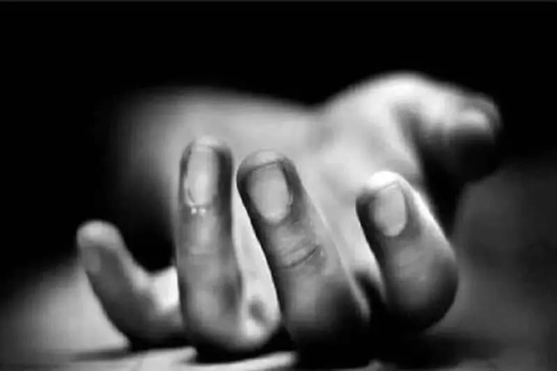 جزئیات قتل الهه حسین‌نژاد اعلام شد؛ سرقت گوشی علت قتل