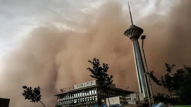 ترند