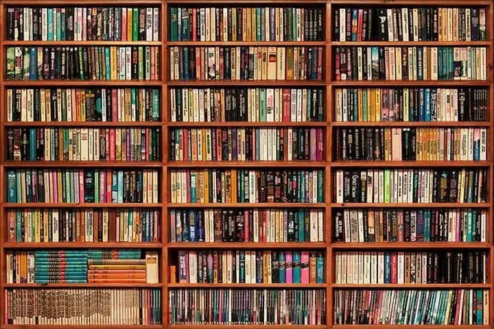 وقتی صفحه آخر نمی‌رسد؛ چرا دیگر حوصله کتاب خواندن نداریم؟