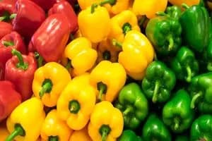 از تقویت مو تا کاهش التهاب؛ گیاهی همه‌کاره برای زندگی سالم