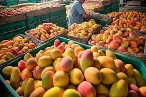 آغاز واردات انبه از ۱۰ خرداد