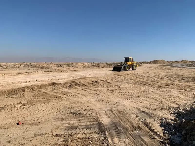 ترند
