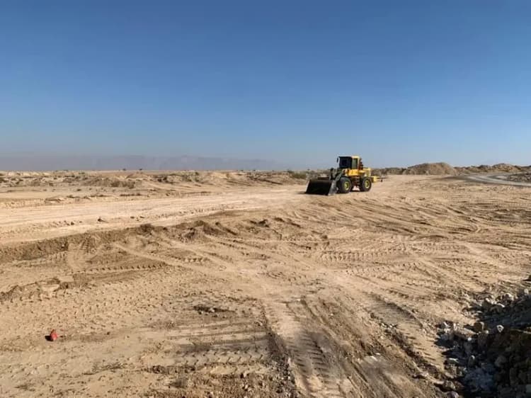 ترند