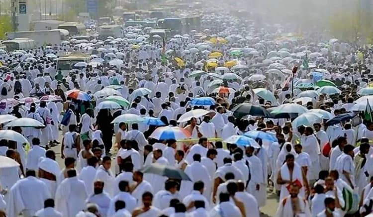 نجات دادن بره مرال از دل آتش در پارک ملی گلستان