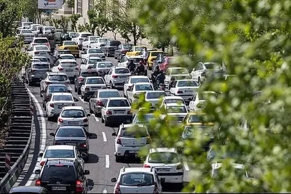 نحوه نگهداری برنج پخته شده در یخچال و فریزر 