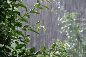 آتش‌سوزی یک ساختمان در تهران/ جزئیات