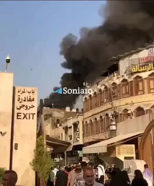 بسته شدن جاده چالوس به دلیل عبور احشام از امشب تا فردا