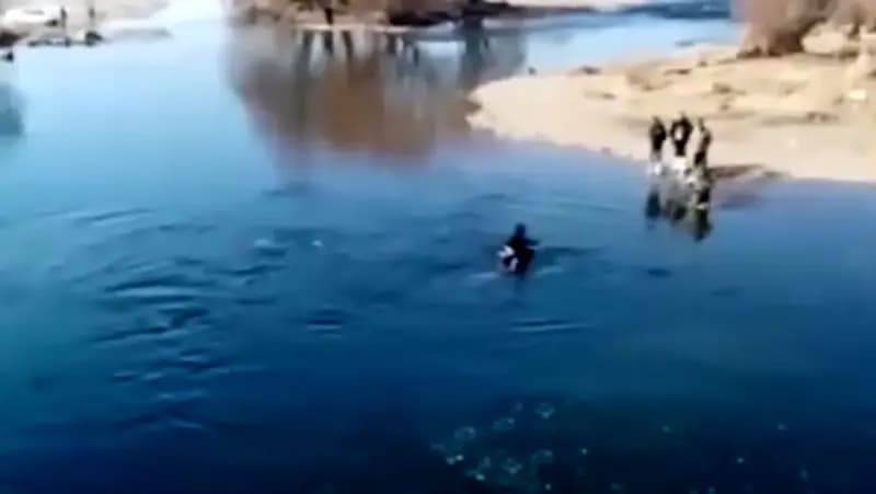 ترند