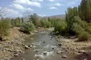 اعزام بیش از ۶ هزار زائر قزوینی به حرم امام خمینی(ره)