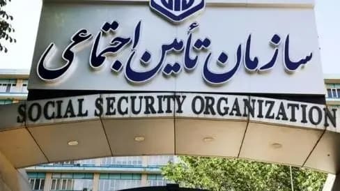 با اعلام دادستانی؛ سگ گردانی در این شهرها ممنوع شد/ اسامی شهرها