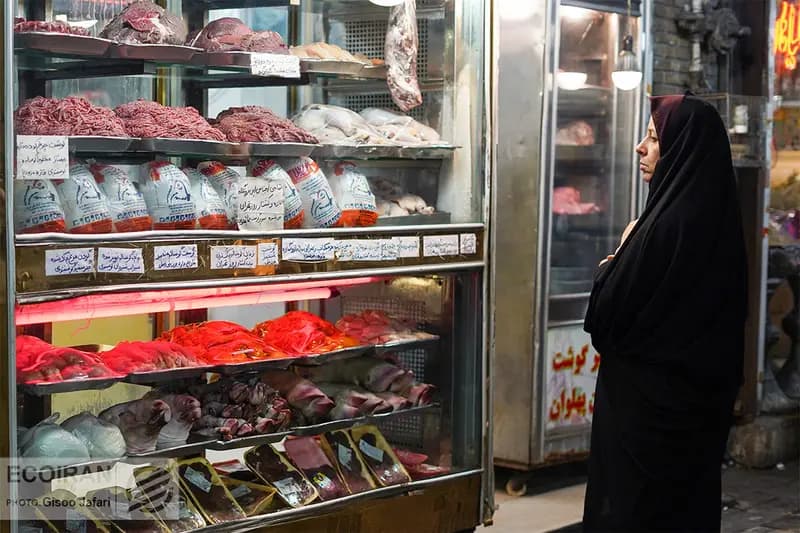 قیمت گوشت قرمز، گوشت مرغ و دام زنده امروز شنبه ۲۷ اردیبهشت 1404