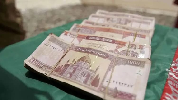 قیمت جدید محصولات سایپا اعلام شد + جدول