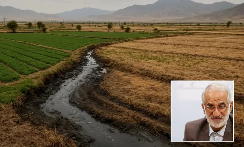 ناکارآمدی مدیریتی کشاورزی؛ ایران را به مرز فروپاشی آبی رسانده/شیخی: امکان خودکفایی با افزایش بهره وری آب و فناوری وجود دارد 
