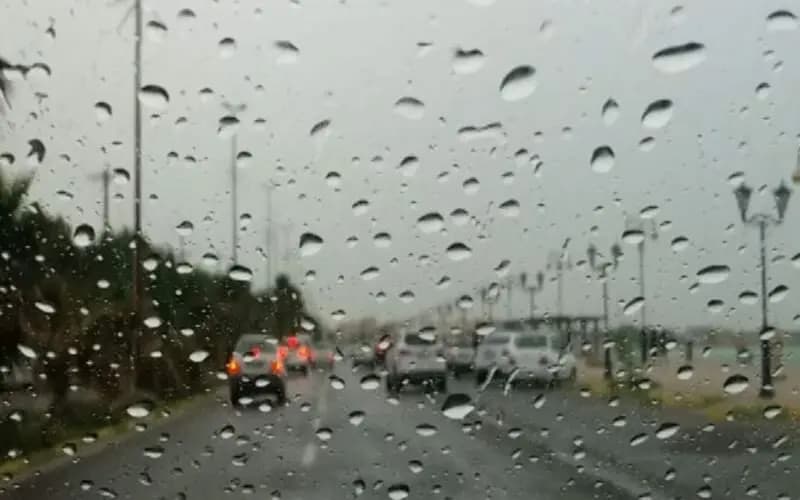 ترند