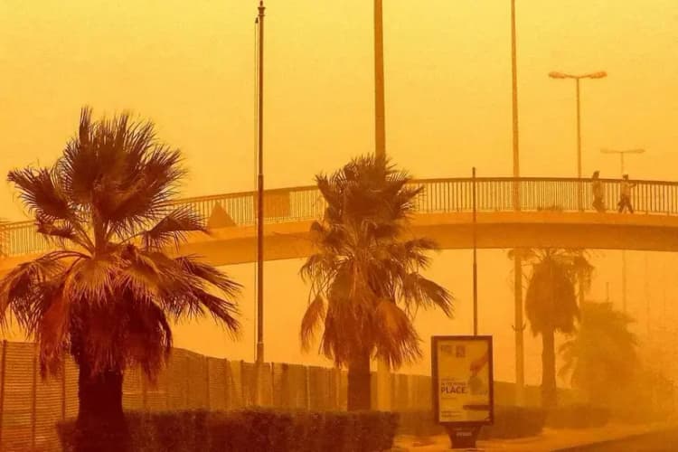 ترند