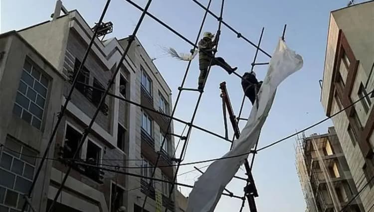 سویه جدید کرونا و ویروس «مرس» خطر همه‌گیری ندارند