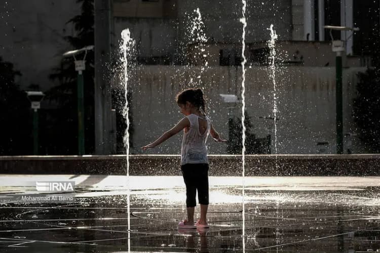 پایان کار قاتل فراری و همدستانش در سبزوار