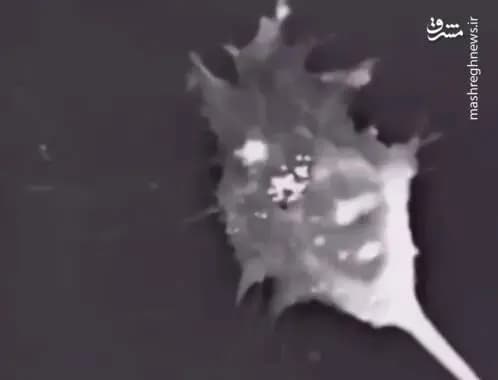 ترند