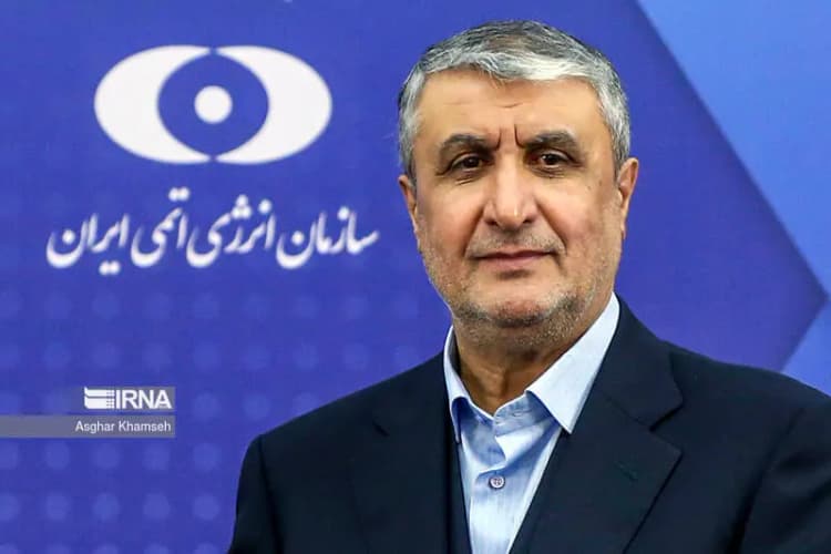  وزیر  اطلاعات ایران: موفق به دستیابی به اسناد راهبردی و  اتمی  اسرائیل شدیم

